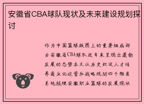 安徽省CBA球队现状及未来建设规划探讨